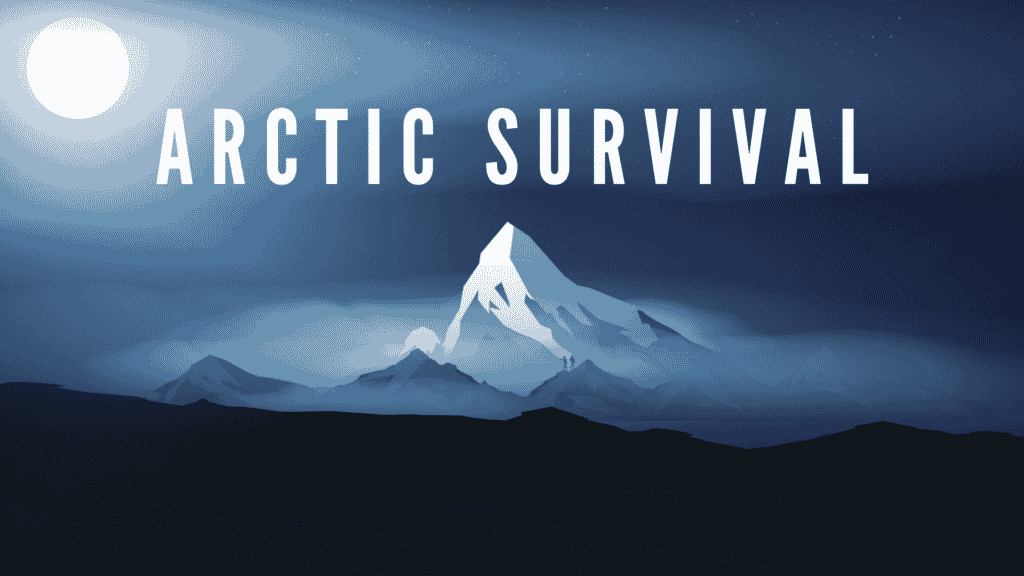 Virtual conference ideas - arctic survival