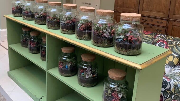 Lots of finished terrariums on a trolley aftwer a mindfulness team building activity